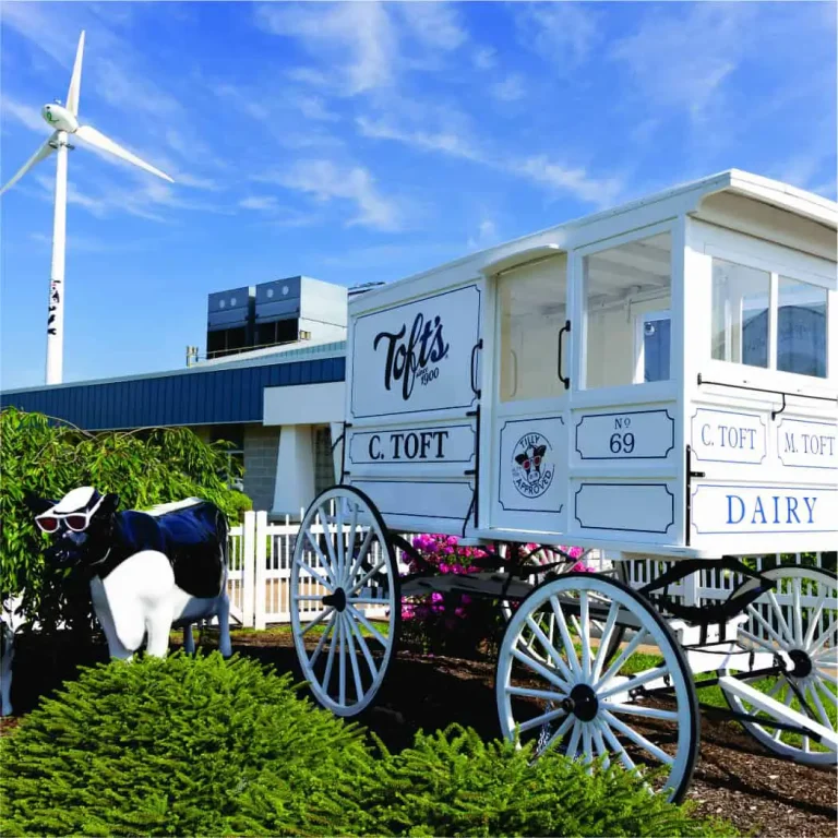 Dairy farm lifestyle